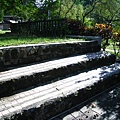 IMG_9808.JPG
