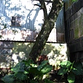 IMG_9810.JPG
