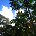 IMG_9781.JPG