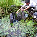 IMG_9792.JPG