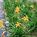 IMG_9804.JPG