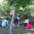 IMG_9851.JPG
