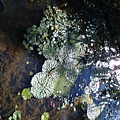 IMG_9846.JPG
