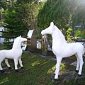 IMG_9879.JPG