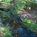 IMG_9864.JPG