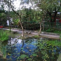 IMG_9816.JPG