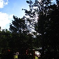 IMG_9807.JPG