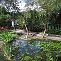 IMG_9818.JPG
