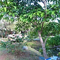 IMG_9839.JPG