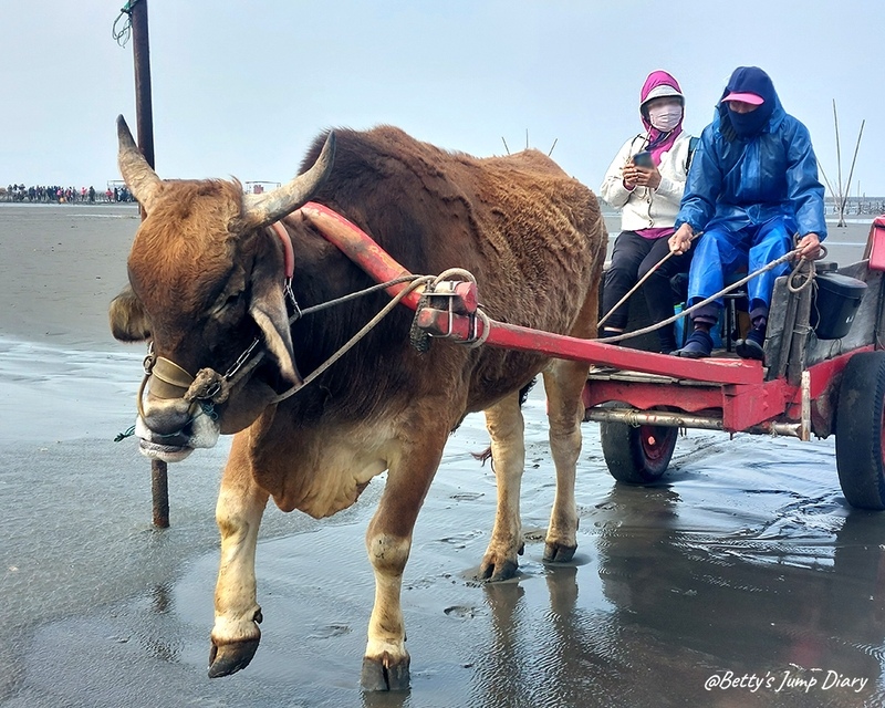 阿福號海牛車 圖片來源：Betty's Jump Diary