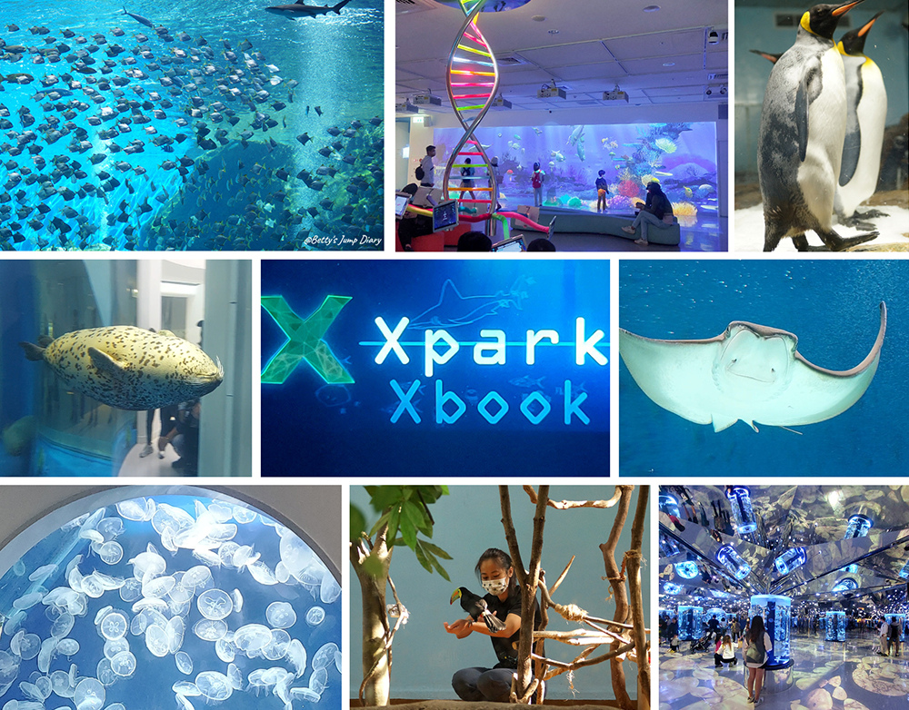 桃園Xpark / 圖片來源:Betty's Jump Diary 桃園Xpark / 圖片來源:Betty's Jump Diary