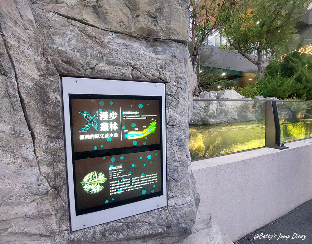 xpark漫步叢林 / 圖片來源:Betty's Jump Diary xpark漫步叢林 / 圖片來源:Betty's Jump Diary