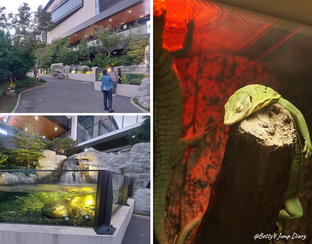 xpark漫步叢林 / 圖片來源:Betty's Jump Diary xpark漫步叢林 / 圖片來源:Betty's Jump Diary