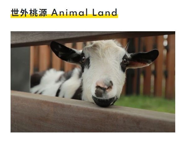 世外桃源.jpg 世外桃源.jpg