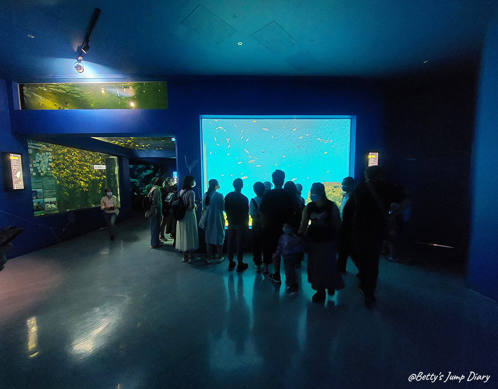 Xpark福爾摩沙 / 圖片來源:Betty's Jump Diary Xpark福爾摩沙 / 圖片來源:Betty's Jump Diary