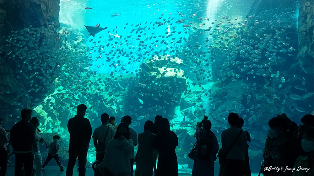 Xpark福爾摩沙 / 圖片來源:Betty's Jump Diary Xpark福爾摩沙 / 圖片來源:Betty's Jump Diary