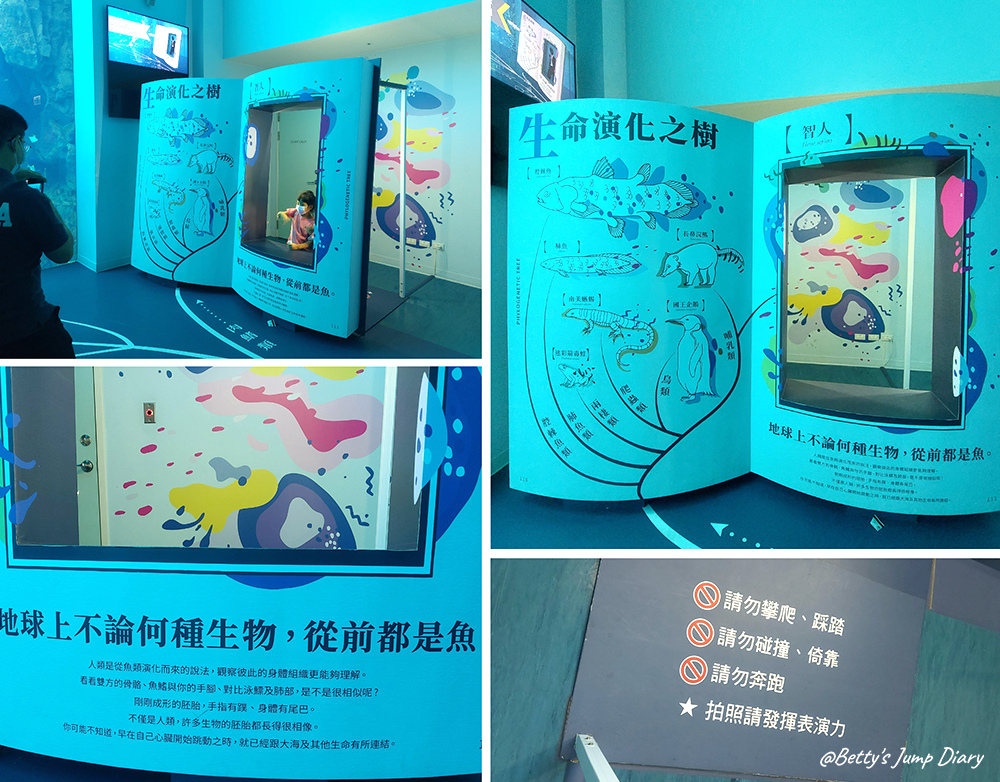 Xpark福爾摩沙 / 圖片來源:Betty's Jump Diary Xpark福爾摩沙 / 圖片來源:Betty's Jump Diary