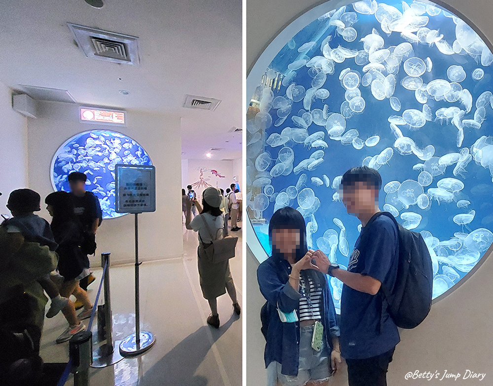 Xpark癒見水母 / 圖片來源:Betty's Jump Diary Xpark癒見水母 / 圖片來源:Betty's Jump Diary