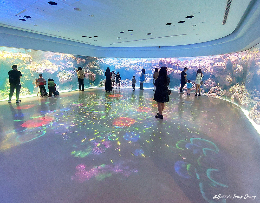 Xpark珊瑚潛行 / 圖片來源:Betty's Jump Diary Xpark珊瑚潛行 / 圖片來源:Betty's Jump Diary