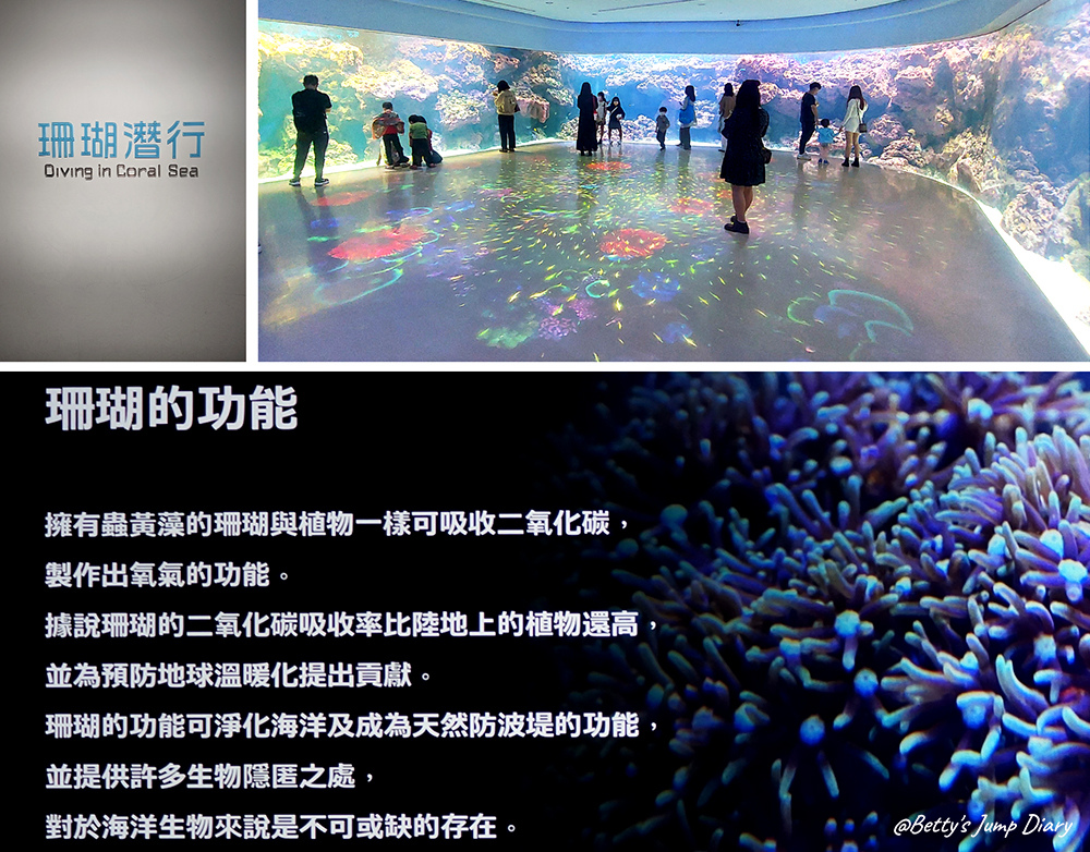 Xpark珊瑚潛行 / 圖片來源:Betty's Jump Diary Xpark珊瑚潛行 / 圖片來源:Betty's Jump Diary