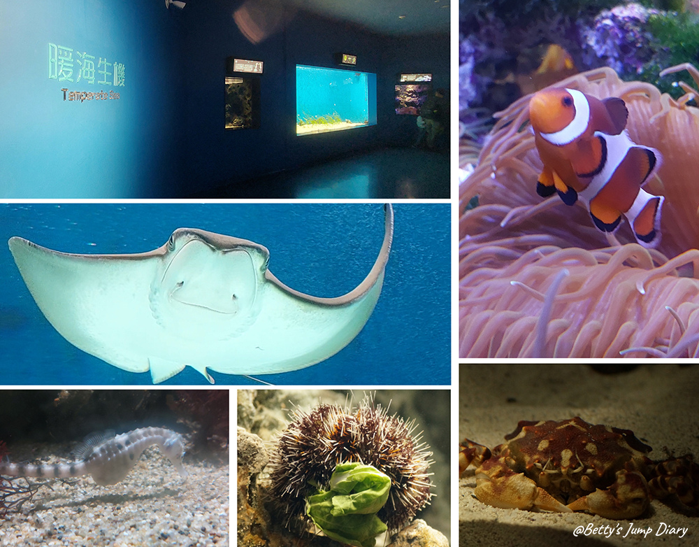 Xpark暖海生機 / 圖片來源:Betty's Jump Diary Xpark暖海生機 / 圖片來源:Betty's Jump Diary