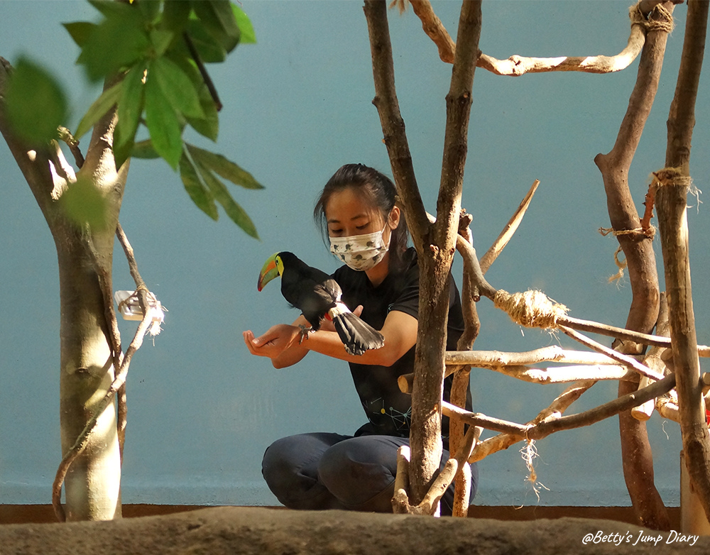 Xpark雨林探險 / 圖片來源:Betty's Jump Diary Xpark雨林探險 / 圖片來源:Betty's Jump Diary