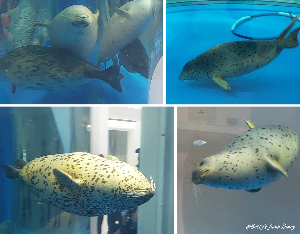 Xpark寒帶行凍 / 圖片來源:Betty's Jump Diary Xpark寒帶行凍 / 圖片來源:Betty's Jump Diary