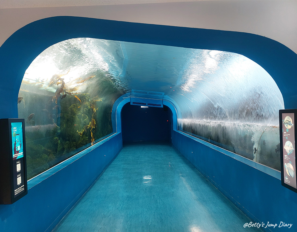 5-1000-1.jpg 5-1000-1.jpg