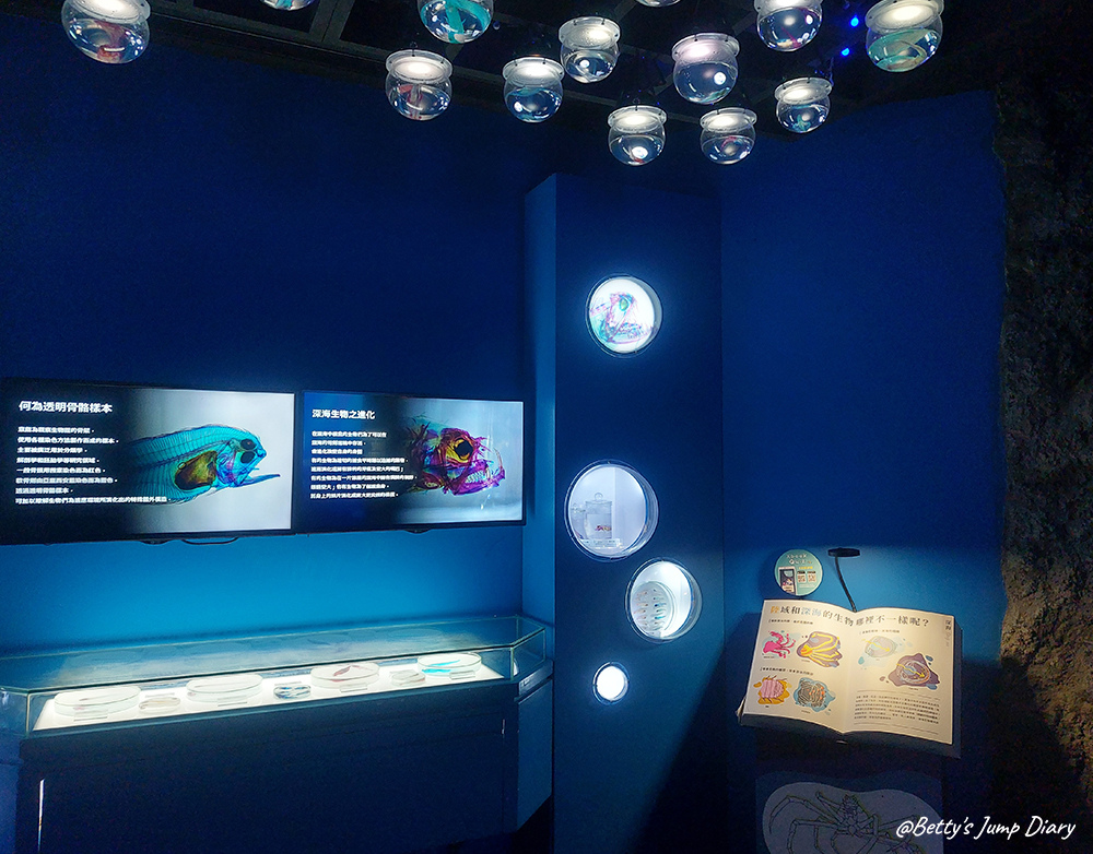 Xpark透明骨骼樣本/ 圖片來源:Betty's Jump Diary Xpark透明骨骼樣本/ 圖片來源:Betty's Jump Diary