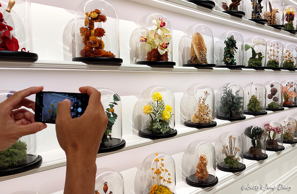 一秒旅歐!嘉義綠建築歐風美學「佐登妮絲城堡」,網美網帥必拍, 一秒旅歐!嘉義綠建築歐風美學「佐登妮絲城堡」,網美網帥必拍,