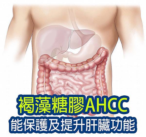 Fucoidan AHCC protect liver.jpg