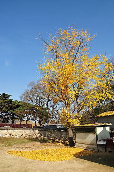 DSC_5668.jpg