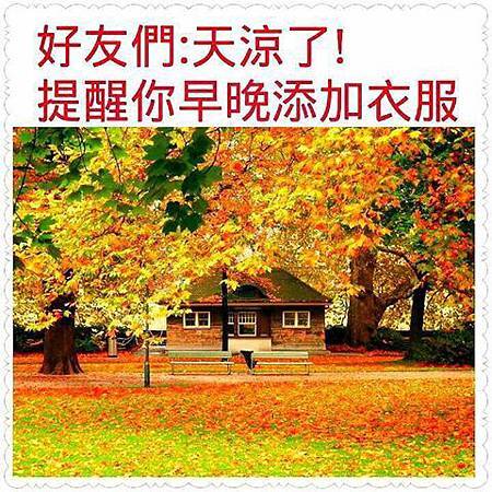 天涼了.. 天涼了..