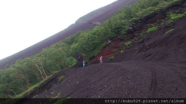 DSC_0286.JPG DSC_0286.JPG