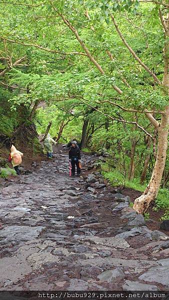 DSC_0291.JPG DSC_0291.JPG