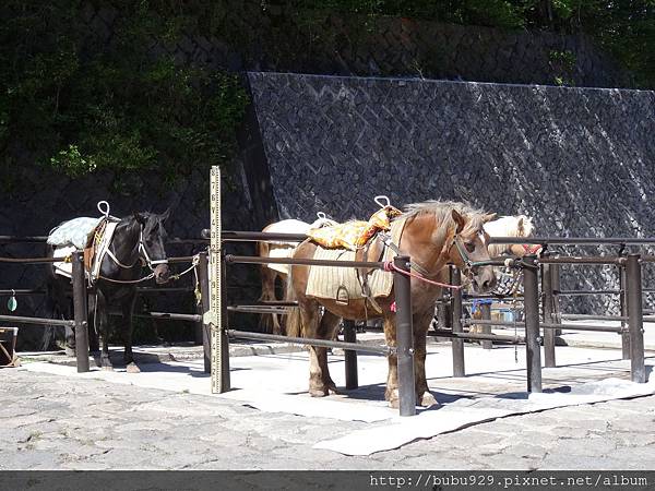 DSC06847.JPG DSC06847.JPG