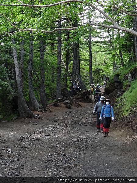 DSC06869.JPG DSC06869.JPG