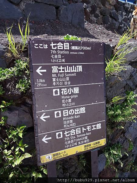 DSC06890.JPG DSC06890.JPG