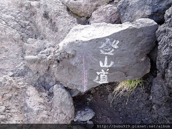 DSC06940.JPG DSC06940.JPG