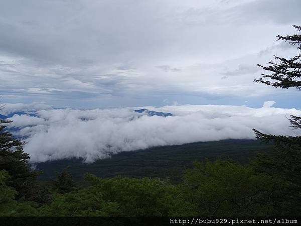 DSC07004.JPG DSC07004.JPG