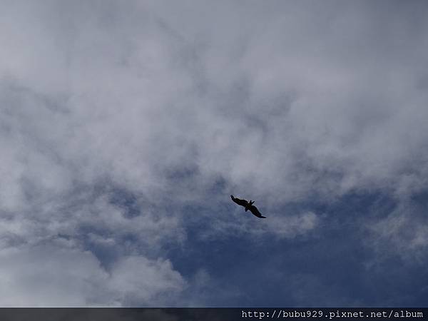 DSC07019.JPG DSC07019.JPG