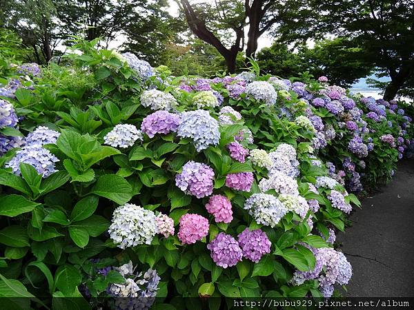 DSC07021.JPG DSC07021.JPG