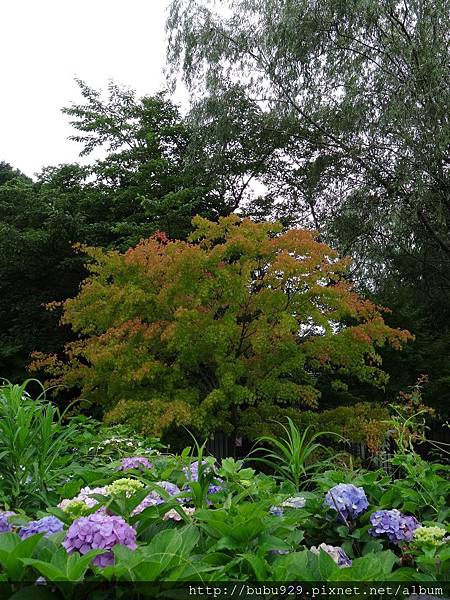 DSC07022.JPG DSC07022.JPG