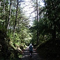 桃山瀑布步道