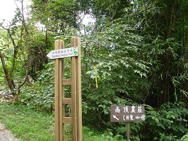 登山口