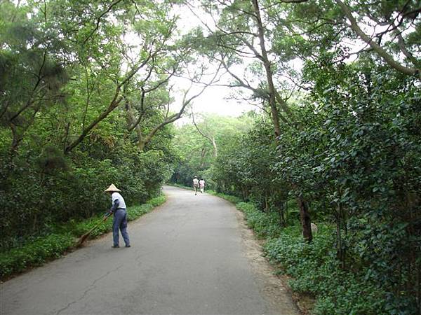 柏油步道