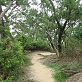 往柏油路前進