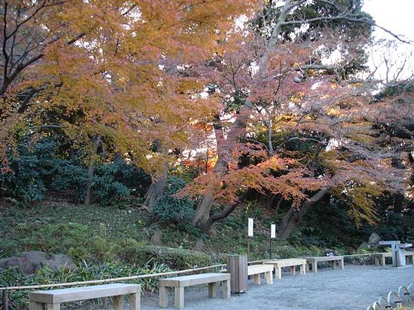 小石川後樂園