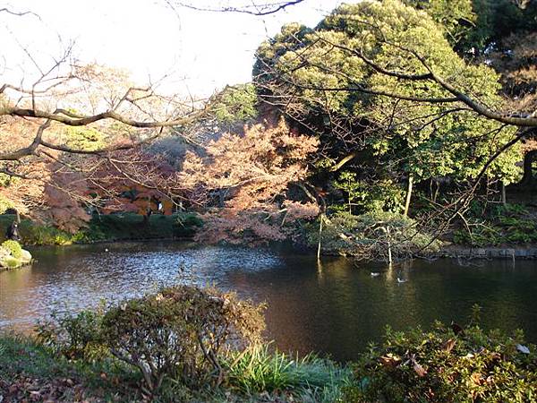 小石川後樂園