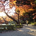 小石川後樂園